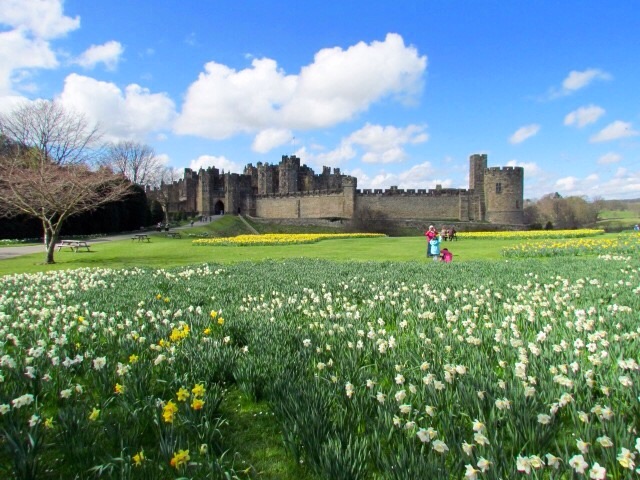 'Alnwick Castle', as pretty as a picture.